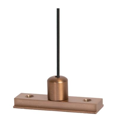 Lucide Premium LINIAL Suspension cable - 1-Circuit lighting system - Smart - 48V Track - Champagne